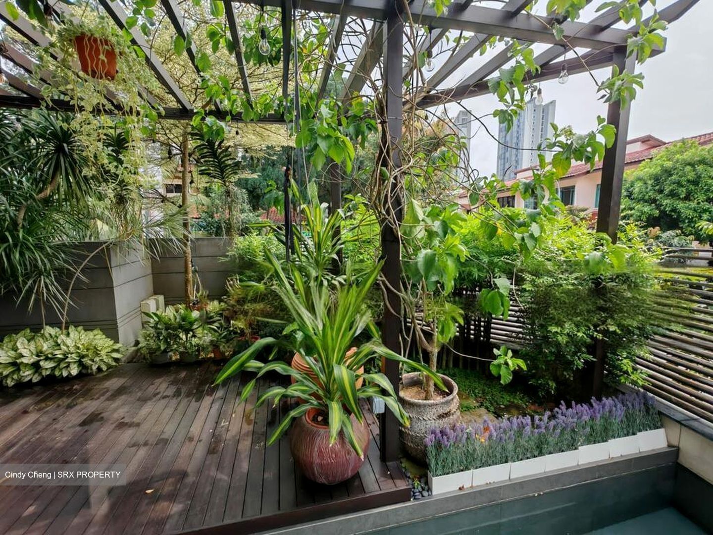 Phoenix Walk (D23), Semi-Detached #490870761